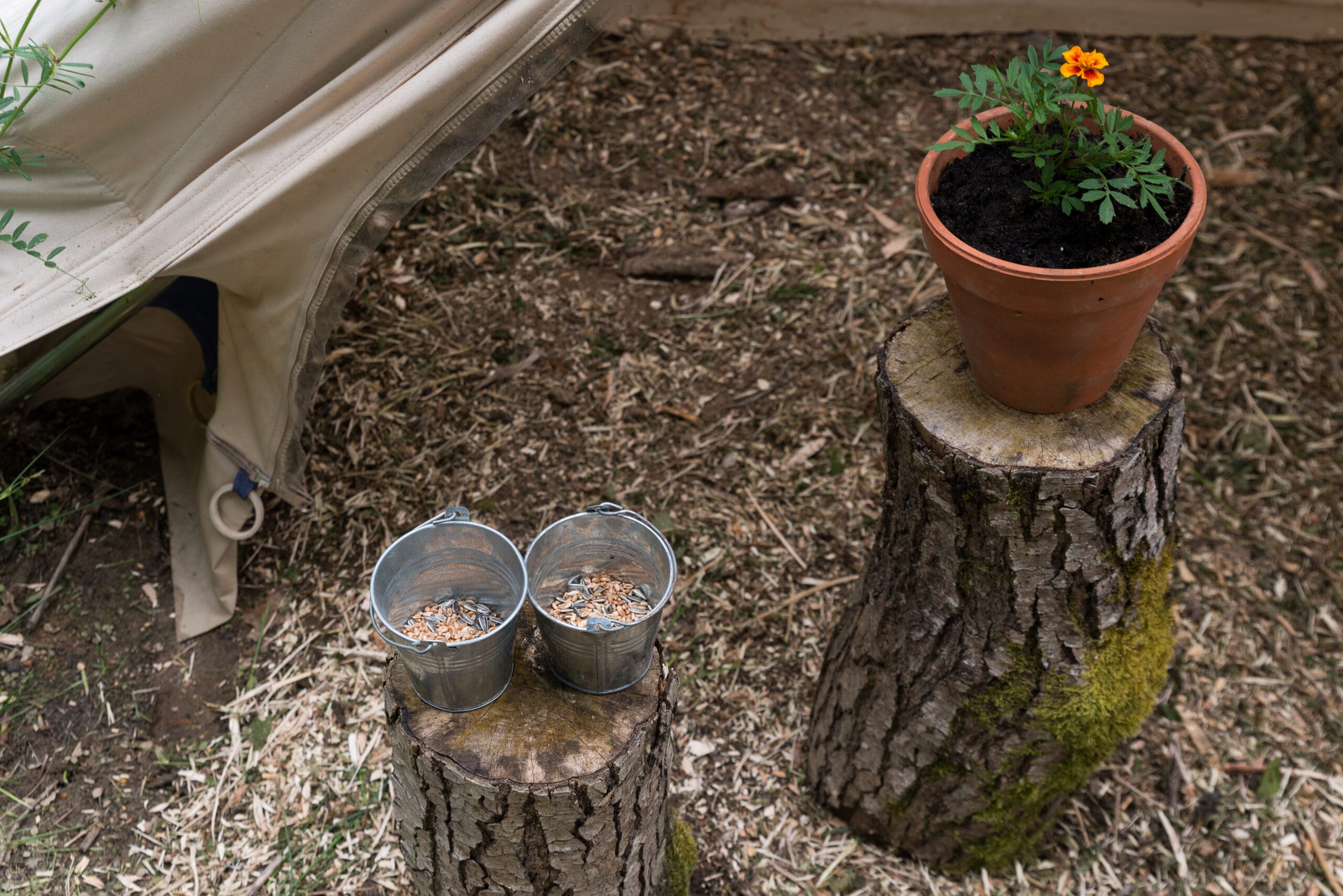 Ingerichte tent