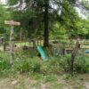 20240623-_NIK7146 Tentplek – Locatie 3 Uitzicht op de konijnen