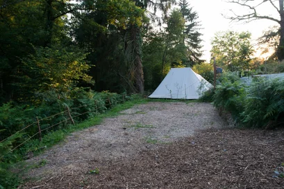 Tent plek – Locatie 1 Rand van het bos