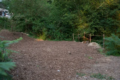 Tent plek – Locatie 1 Rand van het bos
