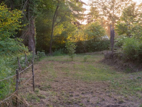Tent plek – Locatie 1 Rand van het bos